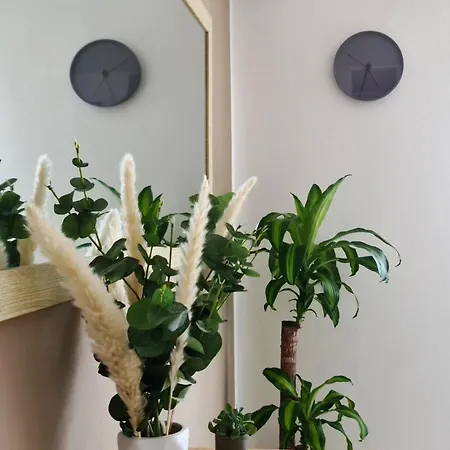 Levante - 500m Amphitheatre - Free Parking Apartman Póla